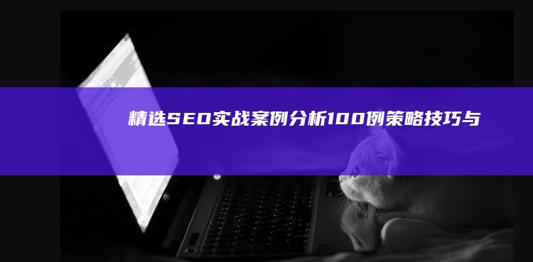 精选SEO实战案例分析100例：策略、技巧与成效全解析